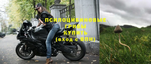 мескалин Гусиноозёрск