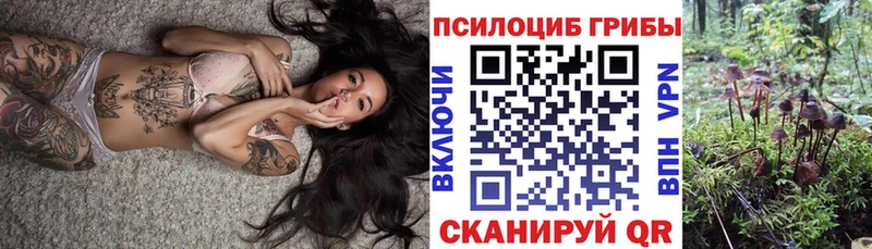 Псилоцибиновые грибы GOLDEN TEACHER  Дятьково 